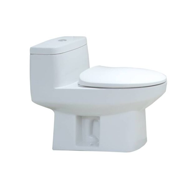 Bravat One-piece Toilet