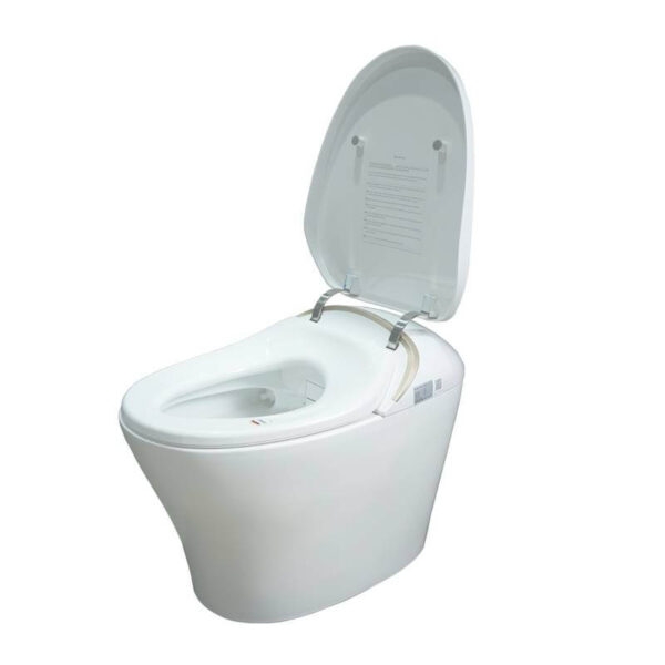 "Maple Autumn Series Floor Mounted Intelligent Toilet without Cistern smart inte "